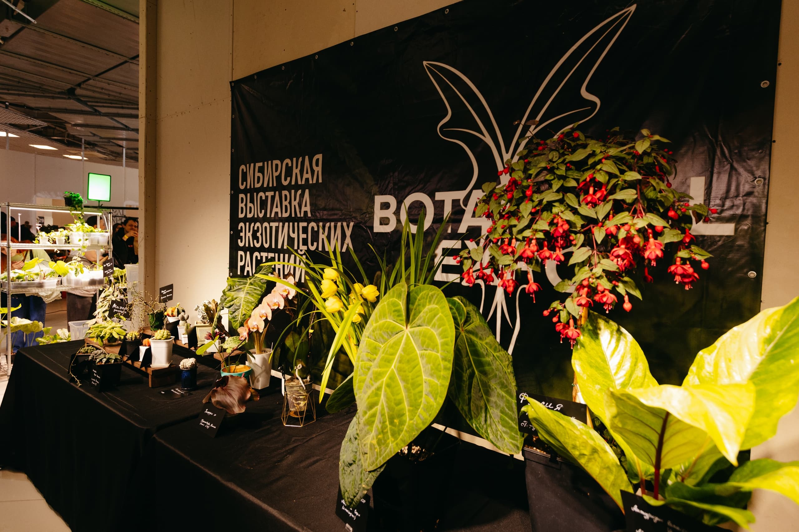 Botanical Expo (KLP)