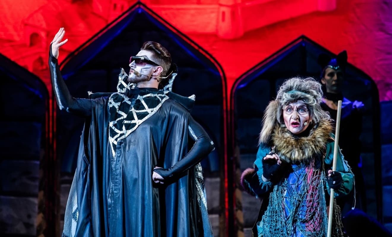 Царевна-лягушка (Дворец искусств Ленинградской области)