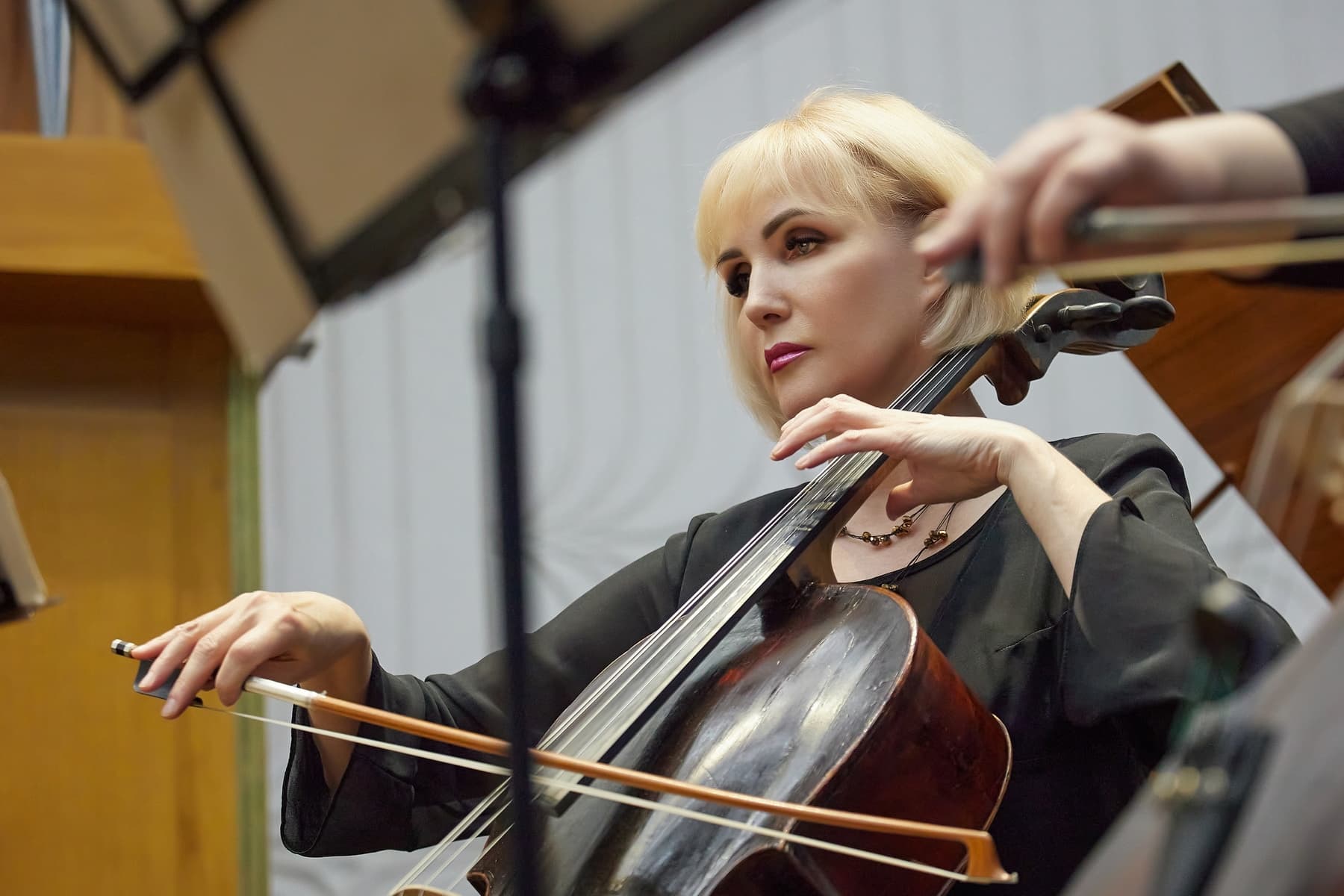 Игорь Лерман. Вечер виртуозной игры с Ириной Боровковой и Дарьей Клишевой (Органный зал)