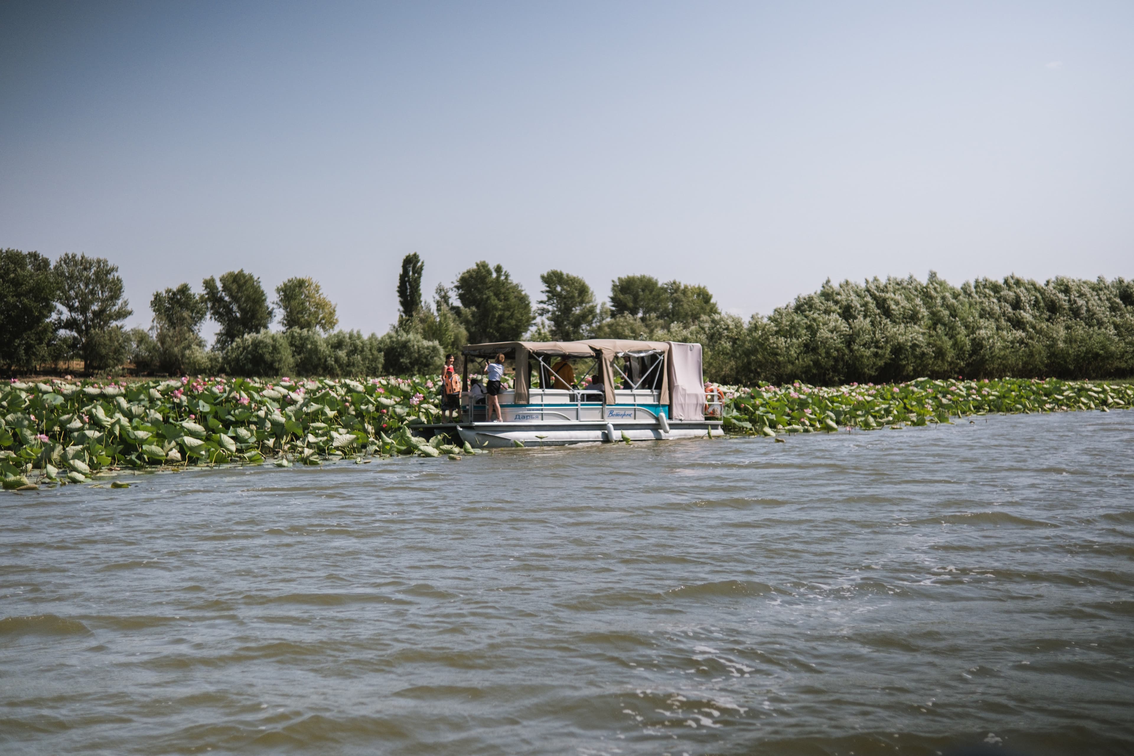 Тур на лотосовые поля (Причал № 1)