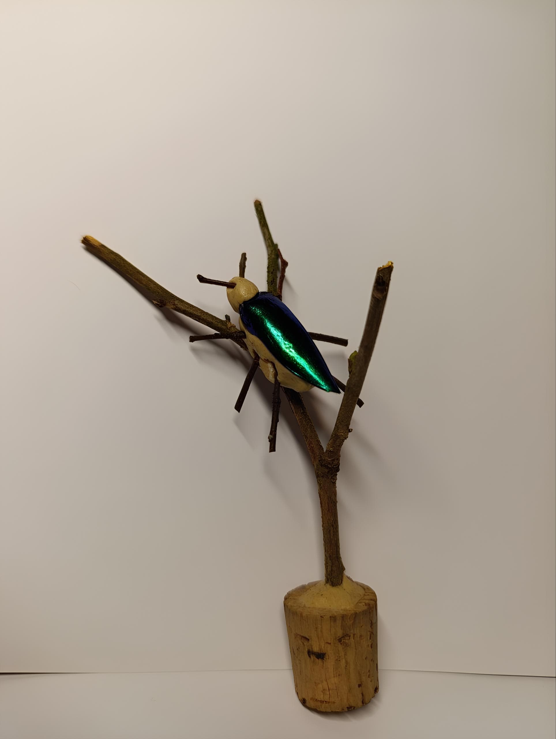 Майский жук. Насекомната (Сад искусств)