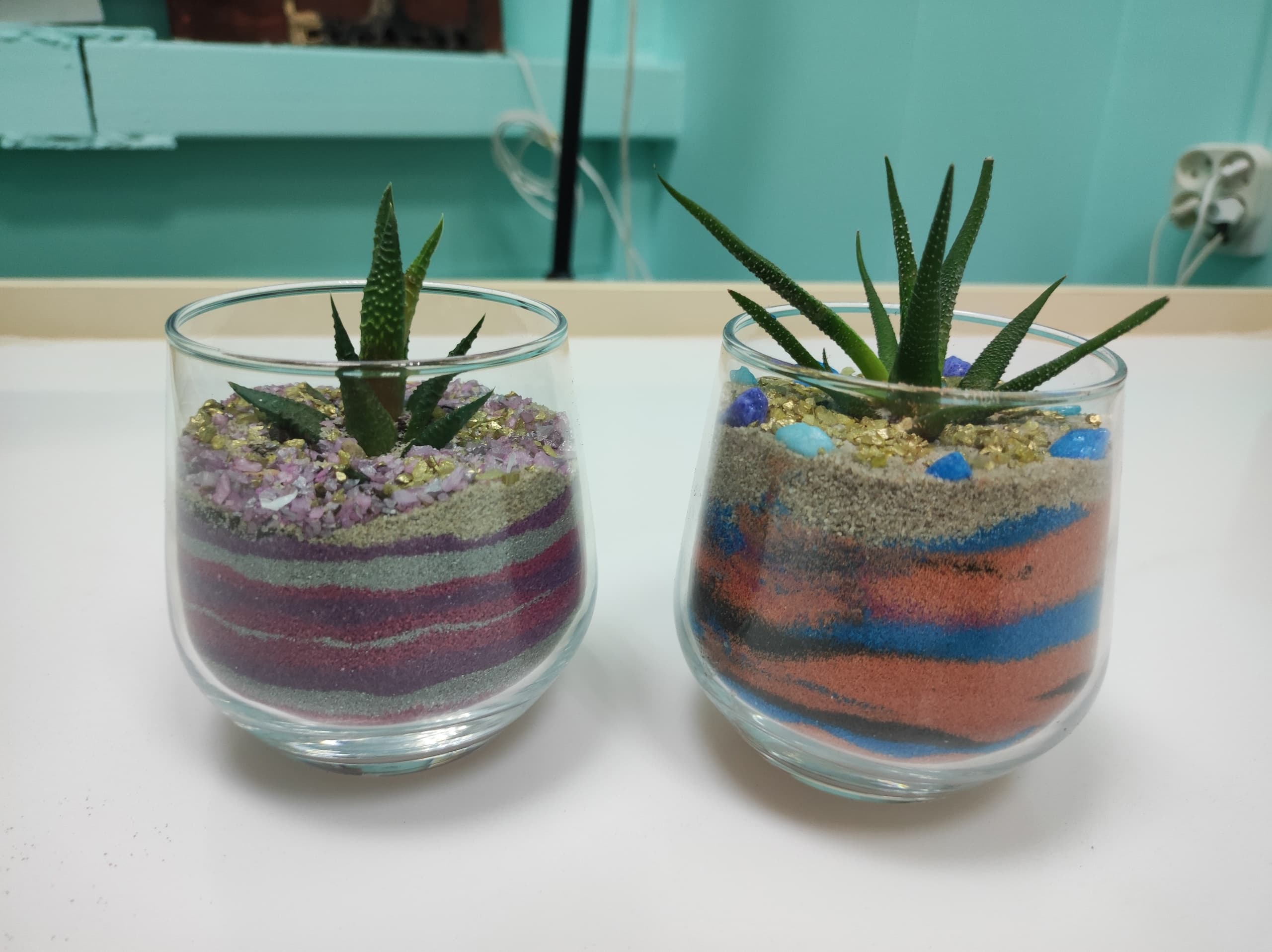 Создание флорариума с Хавортией и песочной церемонией (Арт-студия в Фокусе)