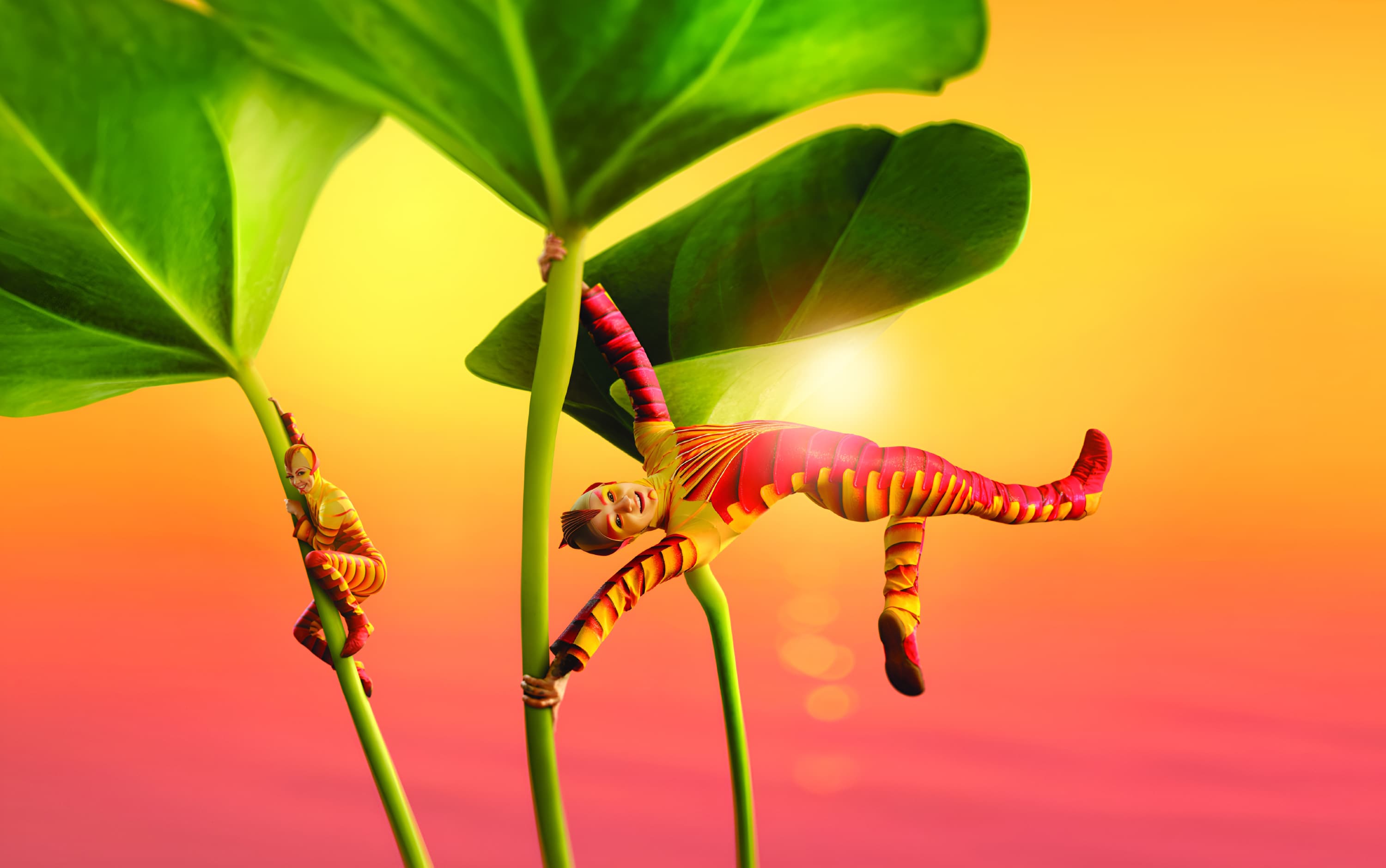 Cirque du Soleil. OVO (Almaty Arena)