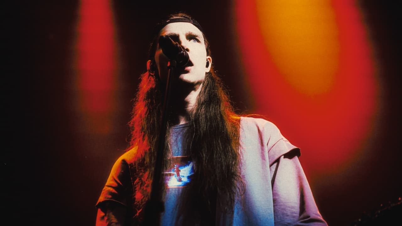 Реборн Фест (Reborn)