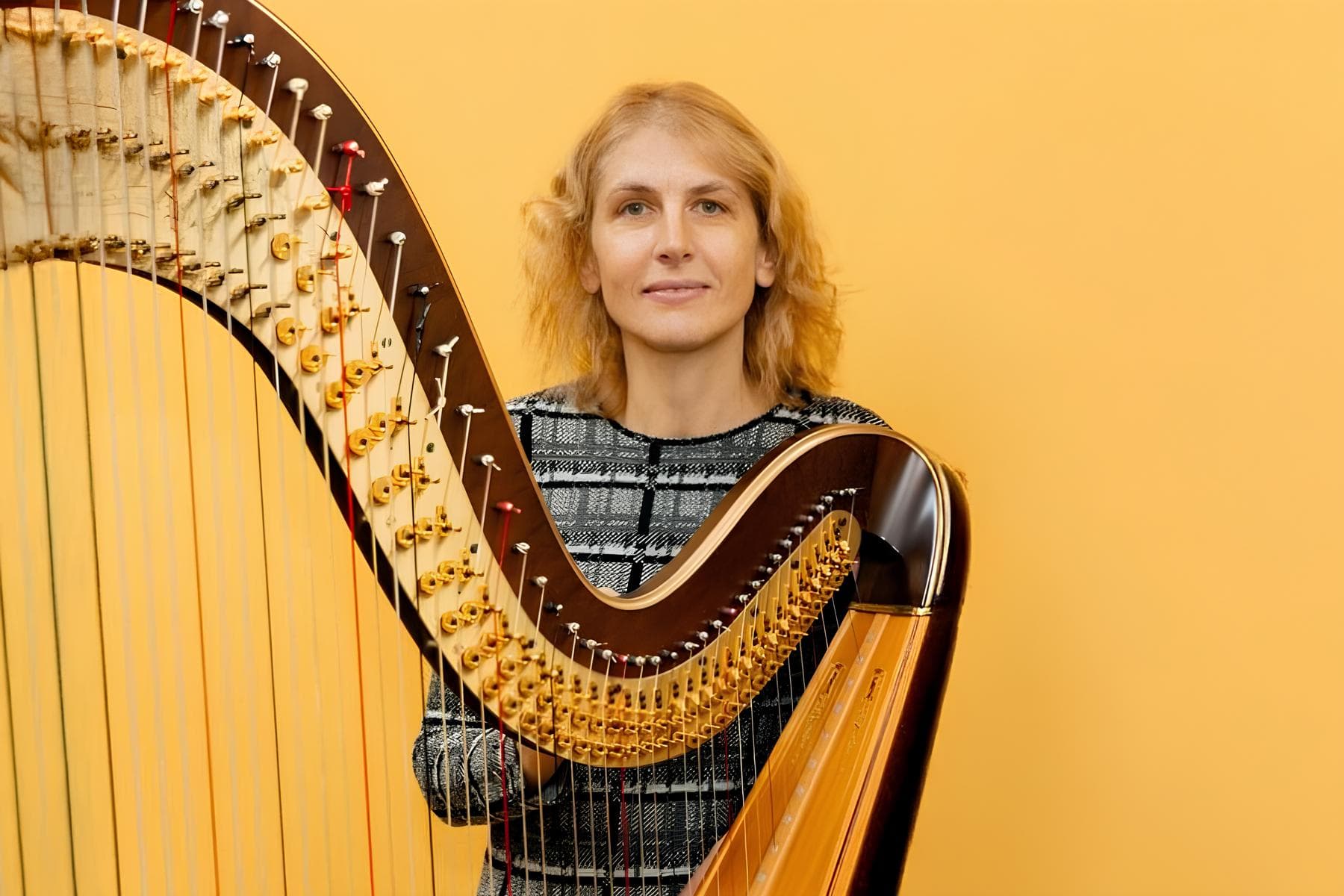Милена Станишич (арфа) (Концертный зал Мариинского театра)