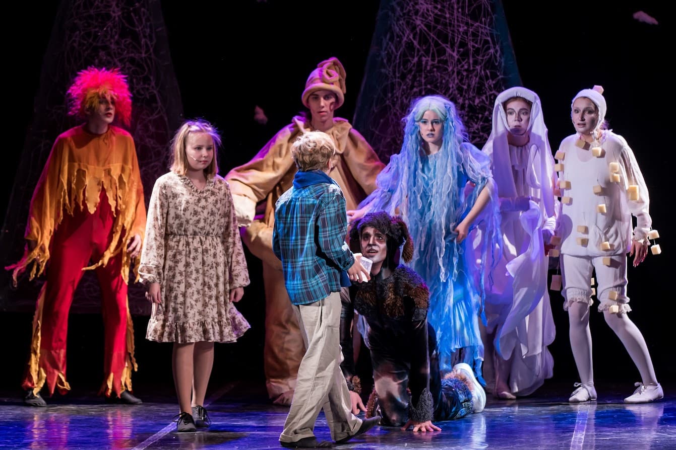 Синяя птица (Дом молодёжи Василеостровского района)