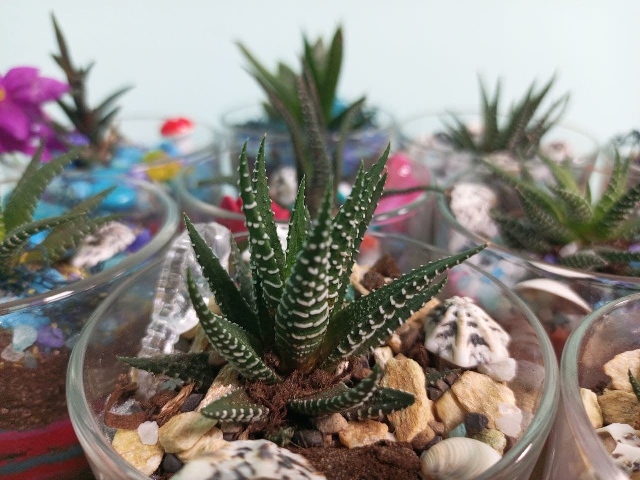 Романтическое свидание. Создание флорариума с песочной церемонией (Арт-студия в Фокусе)