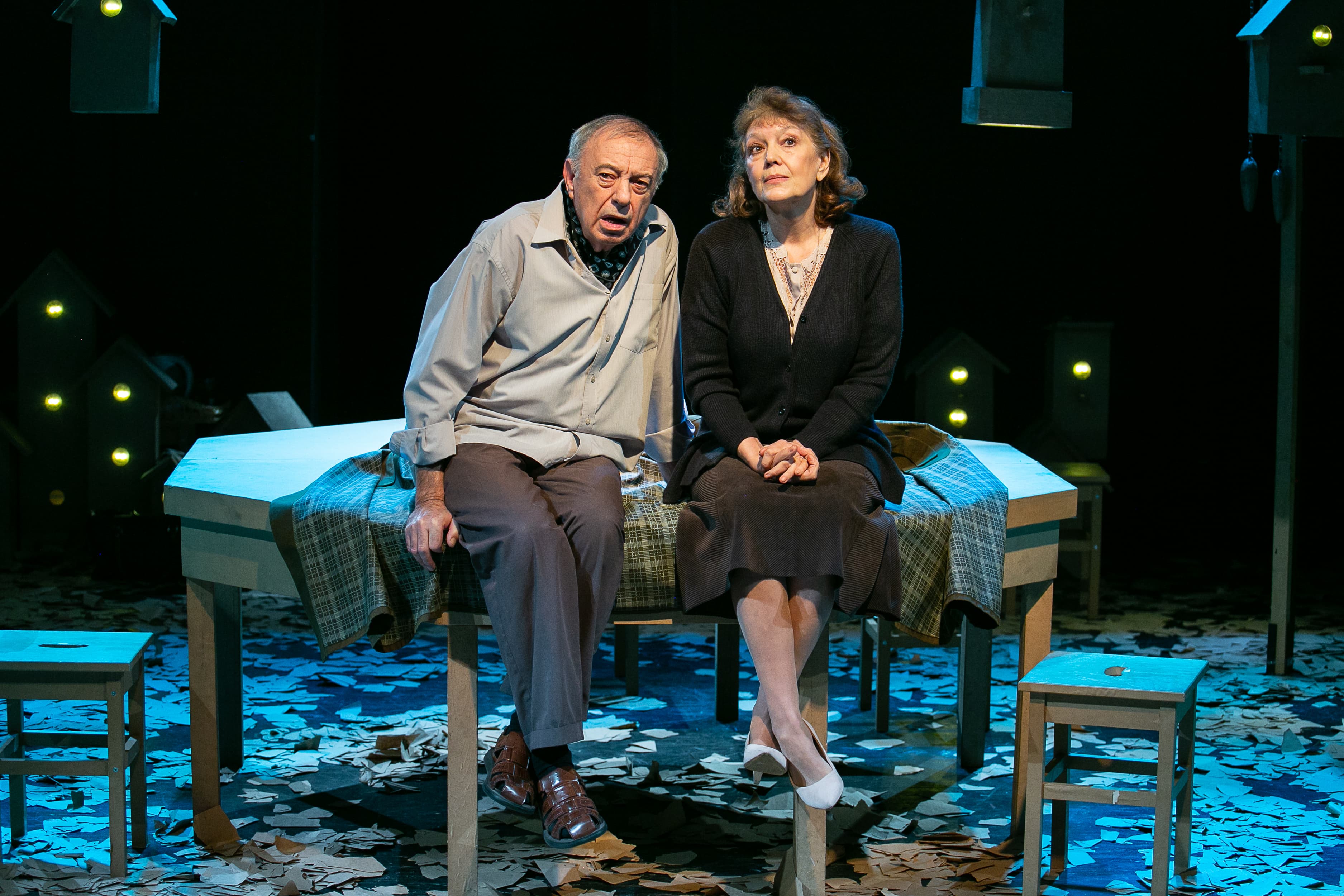 Земля Эльзы (Театр им. Ленсовета)