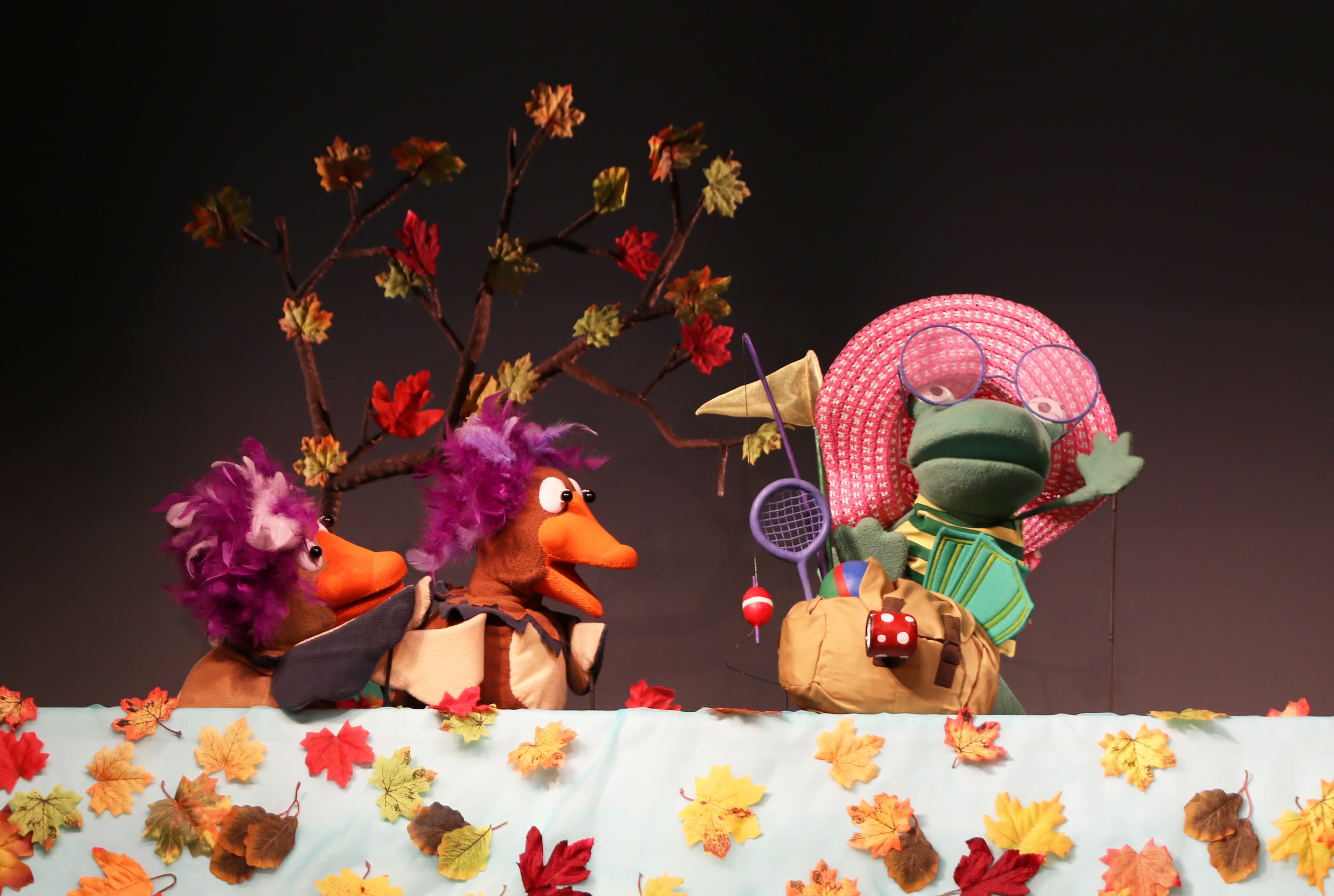 Лягушка-путешественница (Театр кукол)