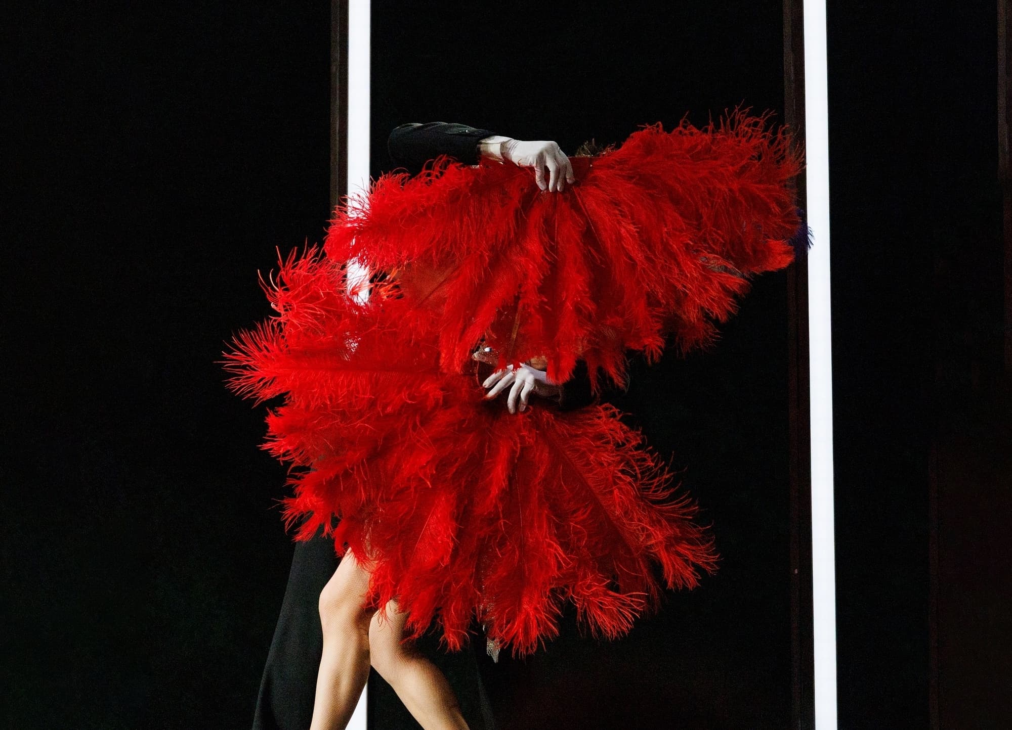 Фиалка Монмартра (Музыкальный театр Республики Карелия)