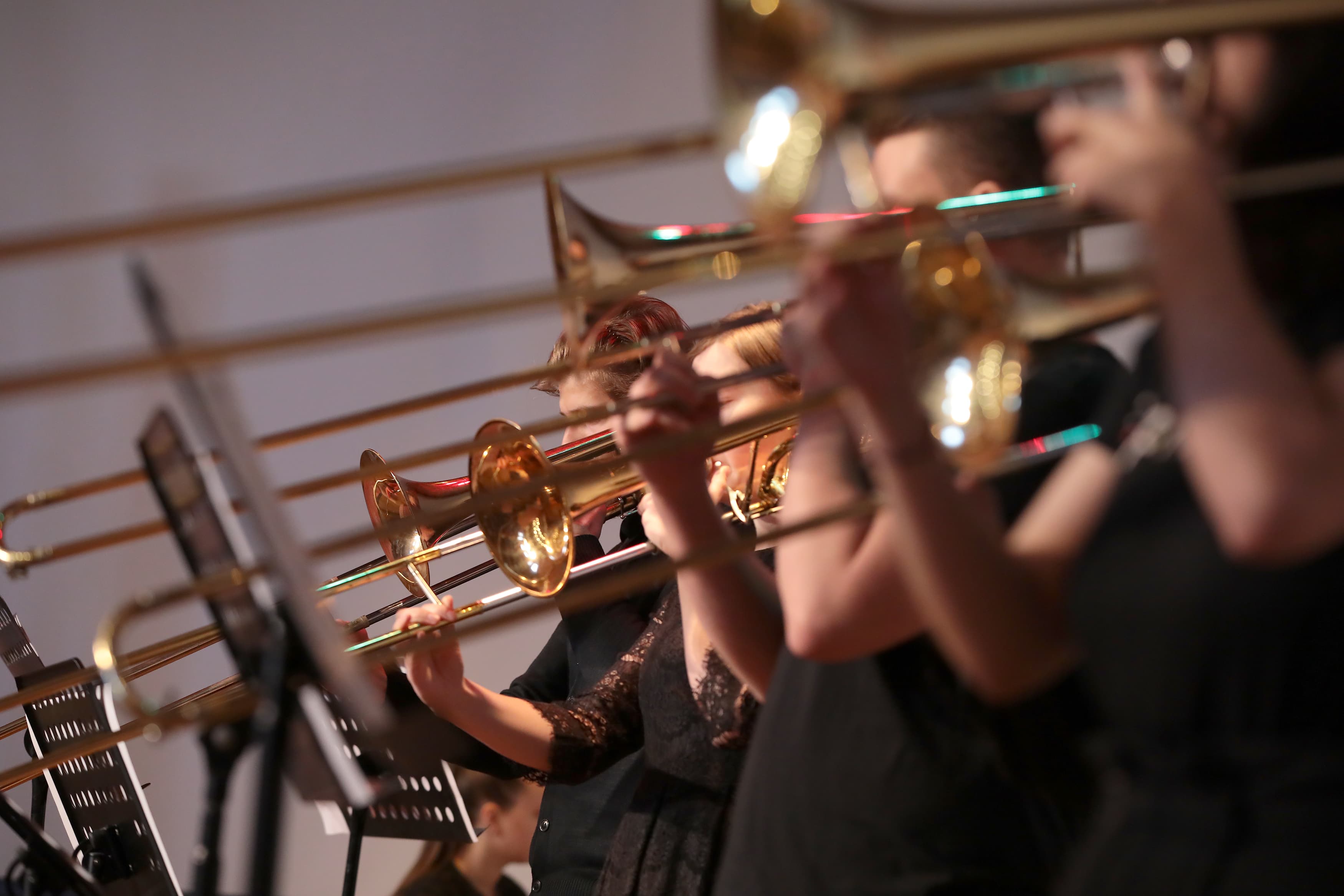 Весны чарующие звуки (Музыкальный театр)