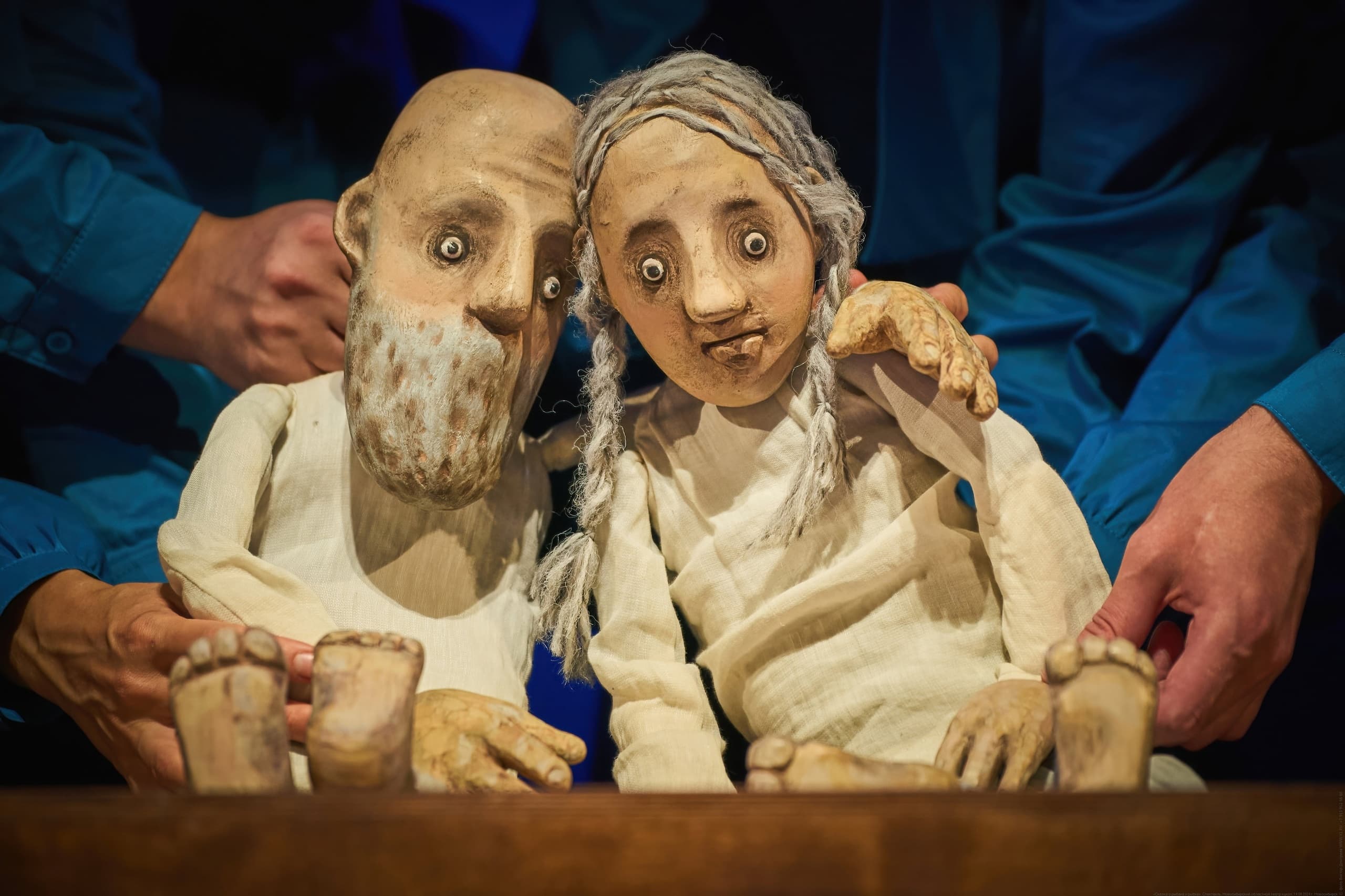 Сказка о рыбаке и рыбке (Областной театр кукол)