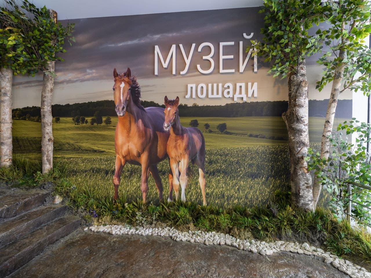 Обзорная экскурсия по интерактивной экспозиции «Музей лошади» (Центр национальных конных традиций)