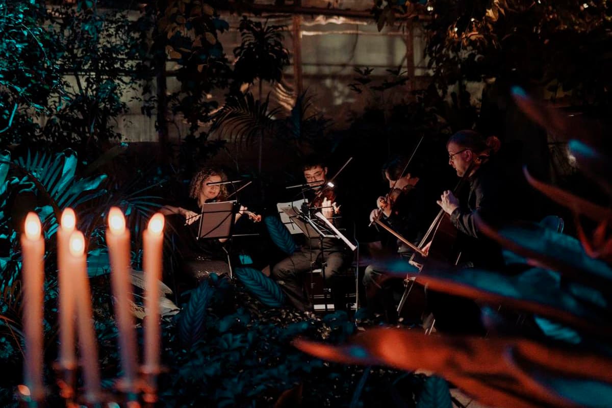 Магия свечей. От Вивальди до Jingle Bells в оранжерее (Оранжерея Таврического сада)