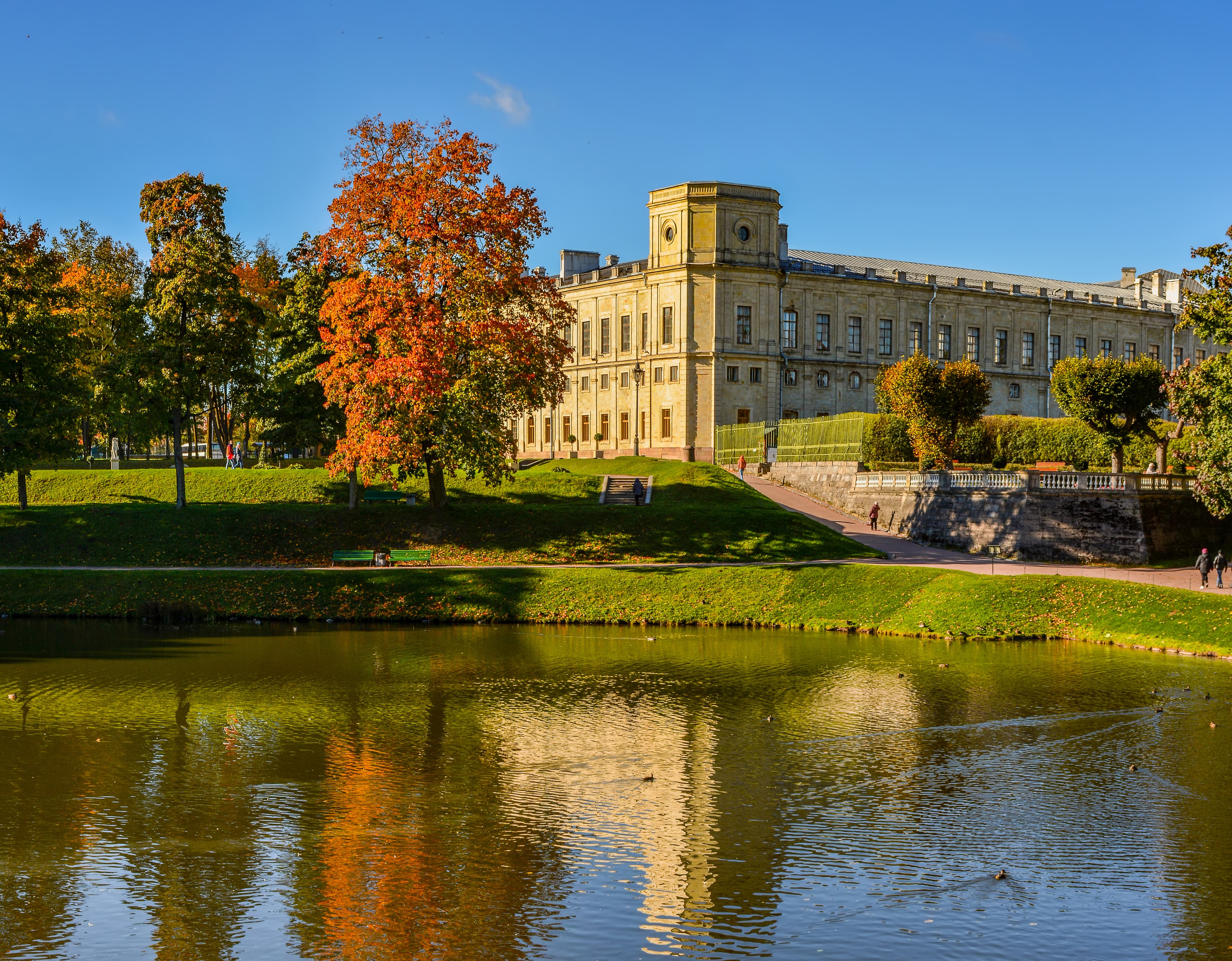 Цветущее Прикамье: секреты профессионального сада с мастер-классом по выращиванию и уходу за гортензией (Скульптура «Пермяк-соленые уши»)