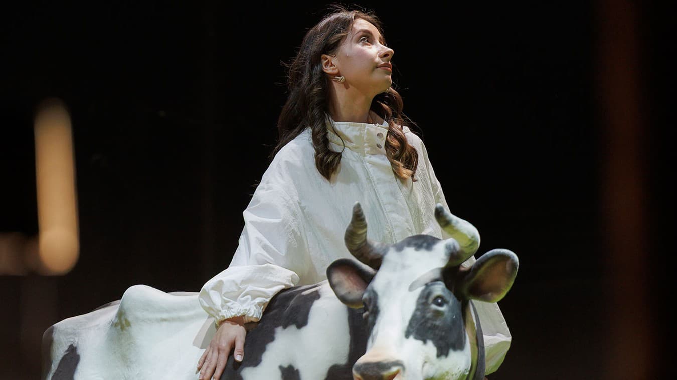 Битва жизни (Театр драмы им. Пушкина)