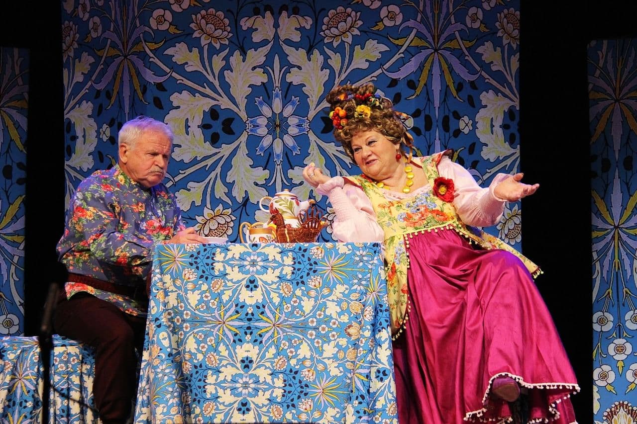 Не в свои сани не садись (Дворец культуры)