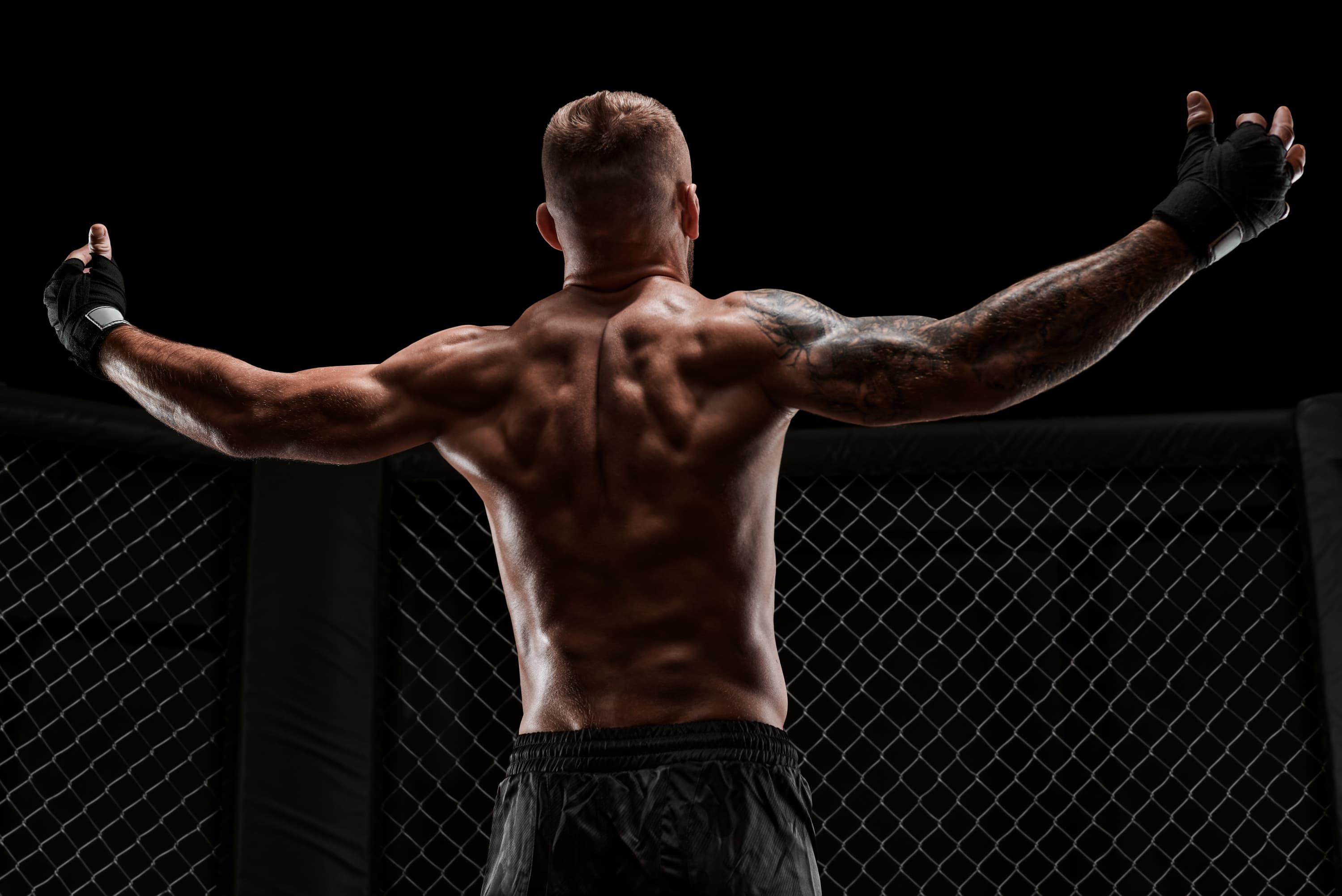 Кулачные бои (Дворец единоборств «Ак Барс»)