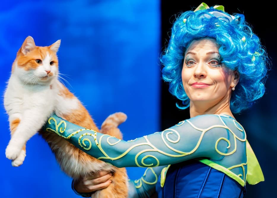 Коты спасают мир (Зимний театр)