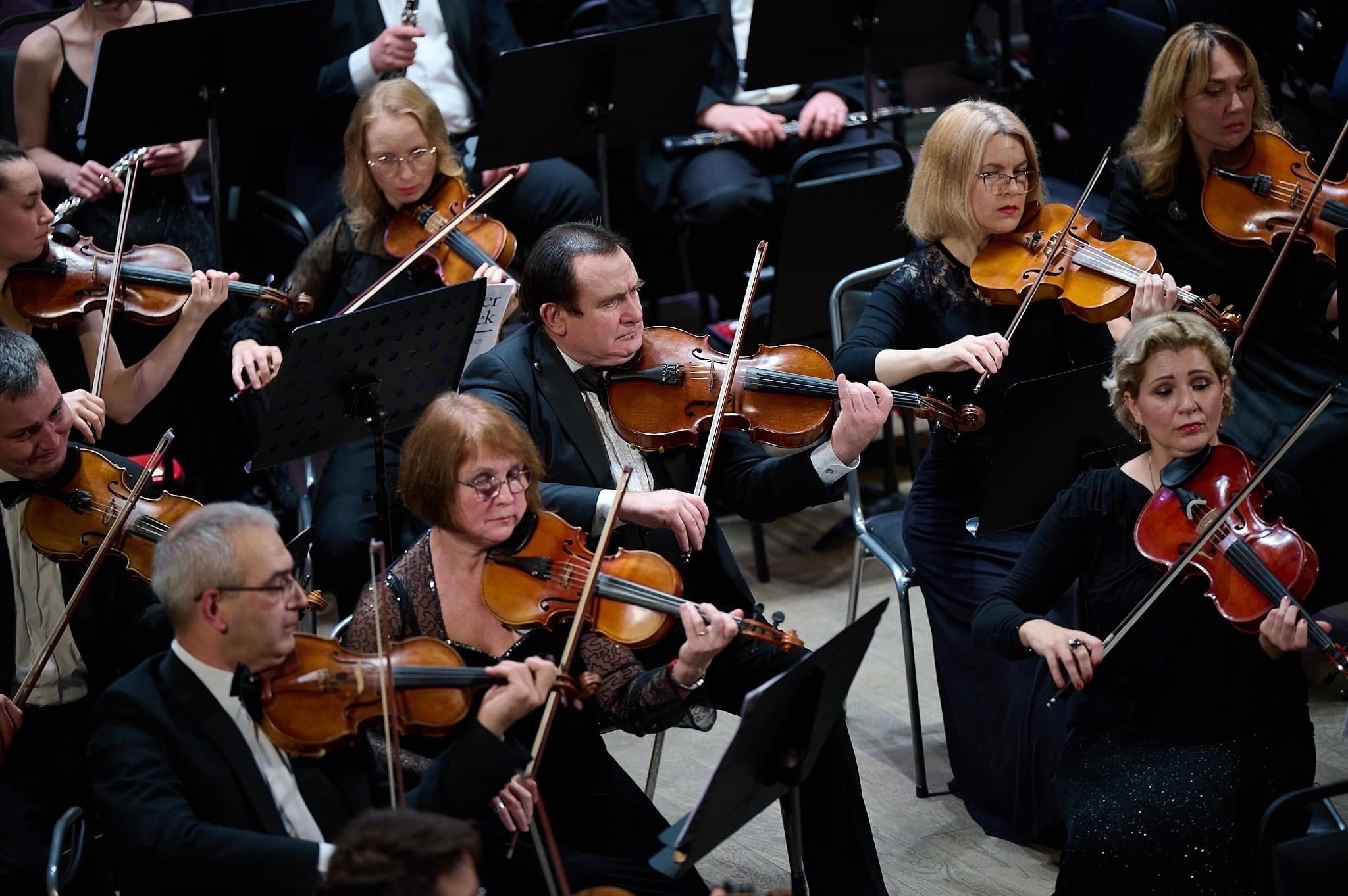 Музыкальная речь (Филармония им. Михайловского)