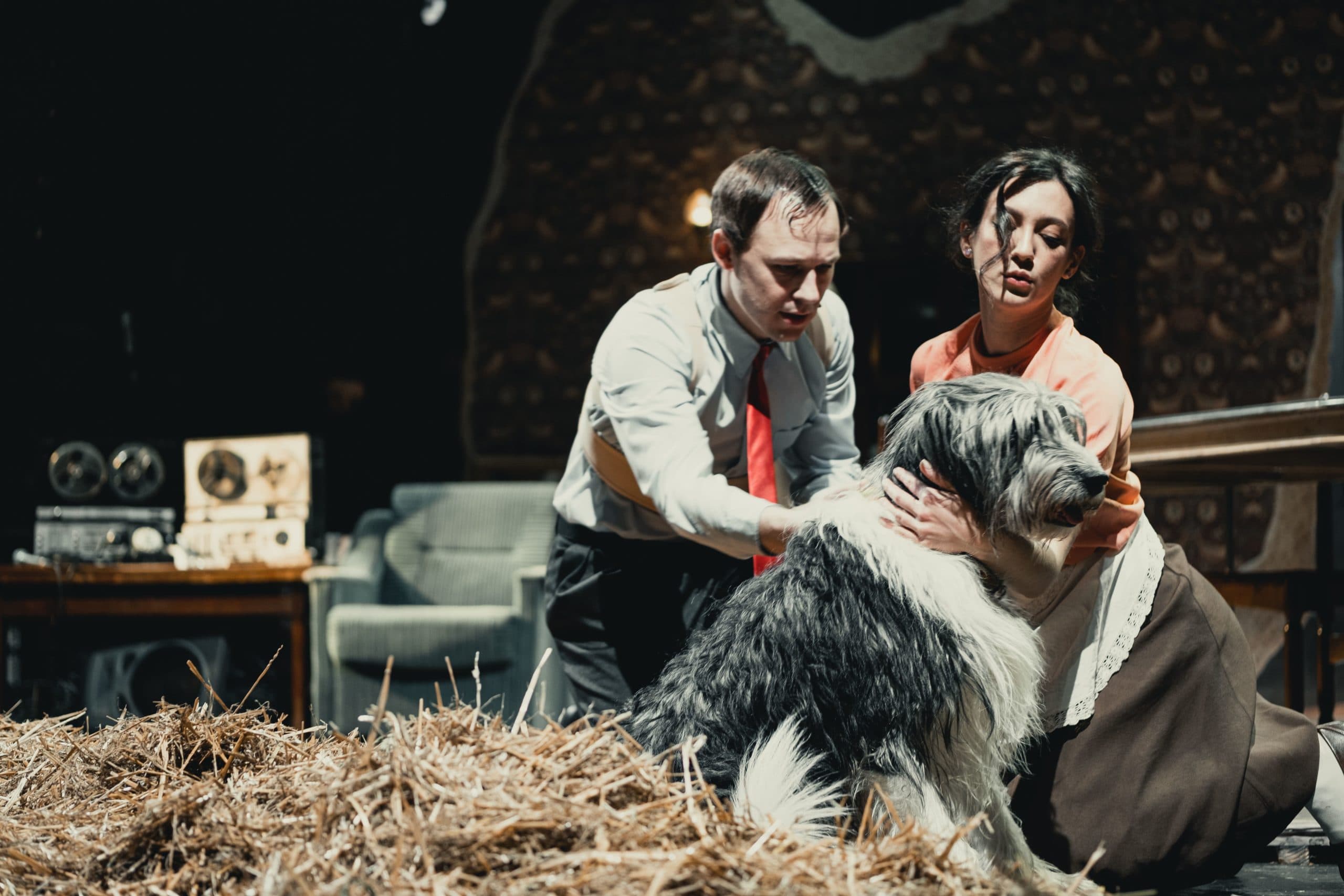 Собачье сердце (МТЮЗ)