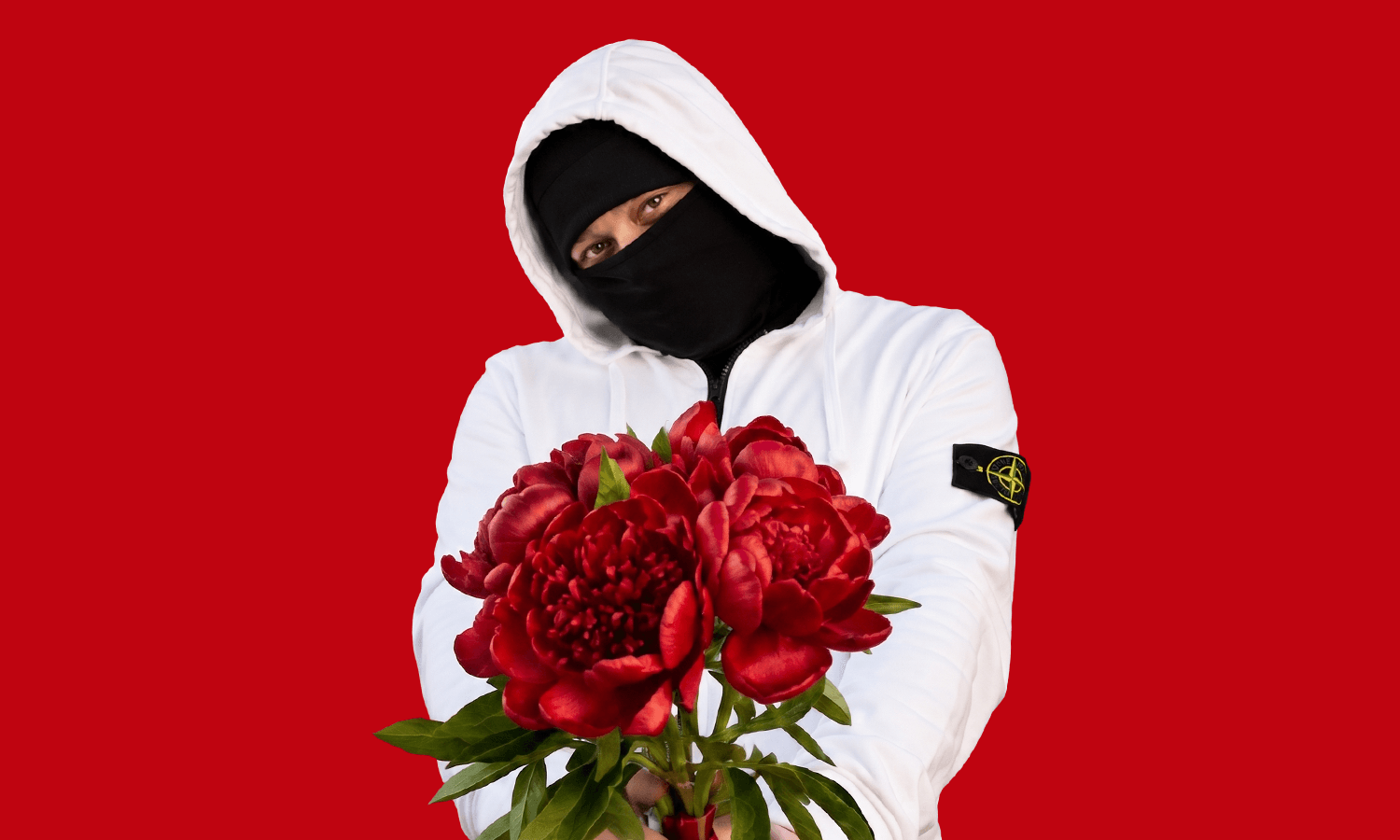 Лисицын (Фасоль)
