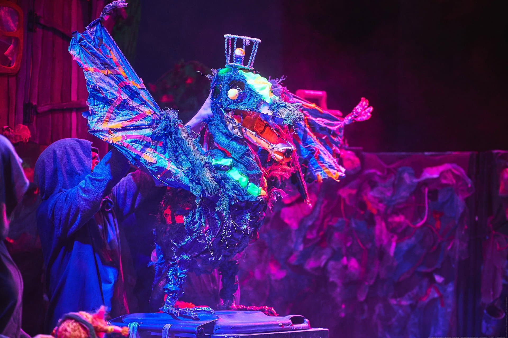 Не кормите мусорного дракона (Областной театр кукол)