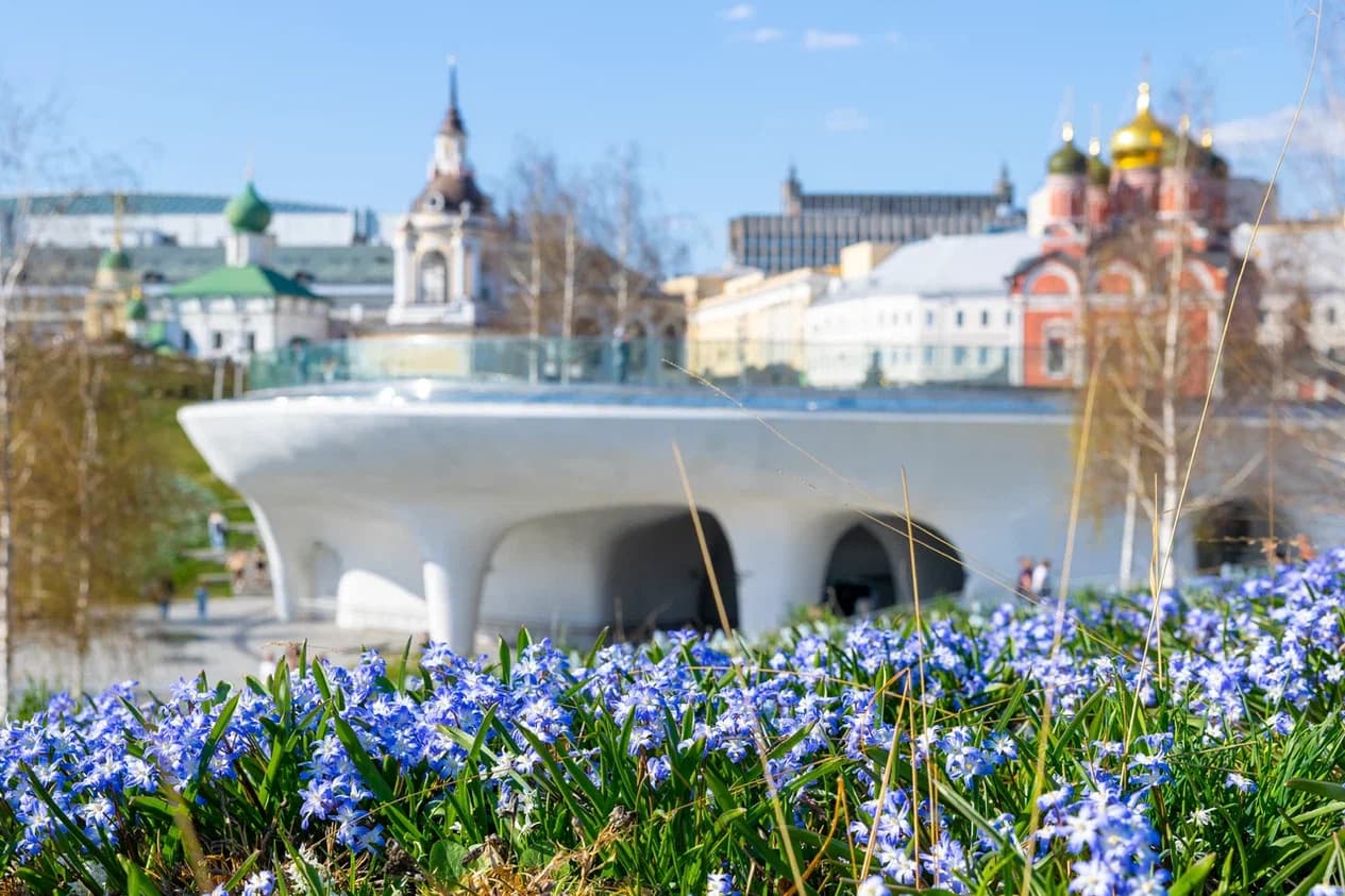 Обзорная экскурсия по парку «Зарядье» (Зарядье)