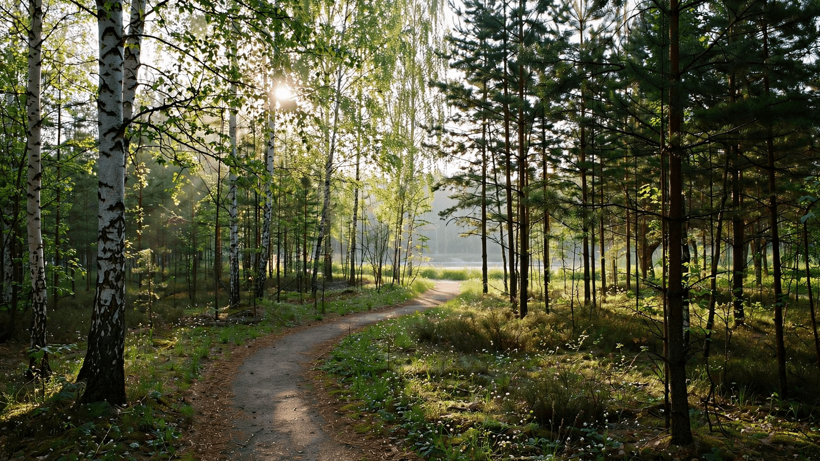 Сердцелесье (Место встречи в Парке Победы)