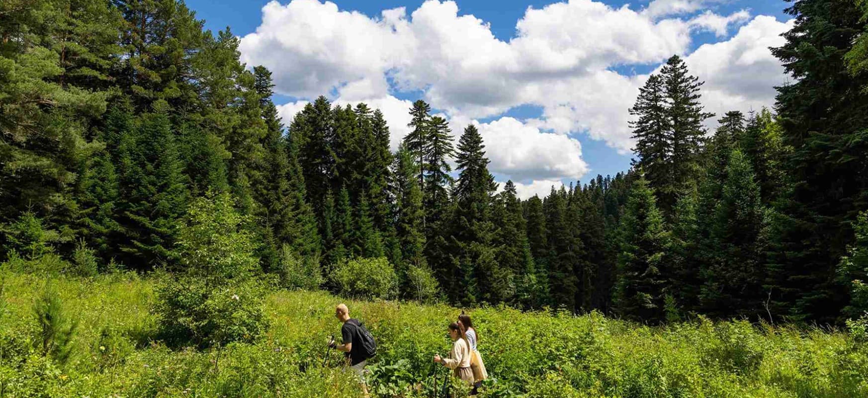 Шорохи и трели (Древнеаланское городище (Архыз))