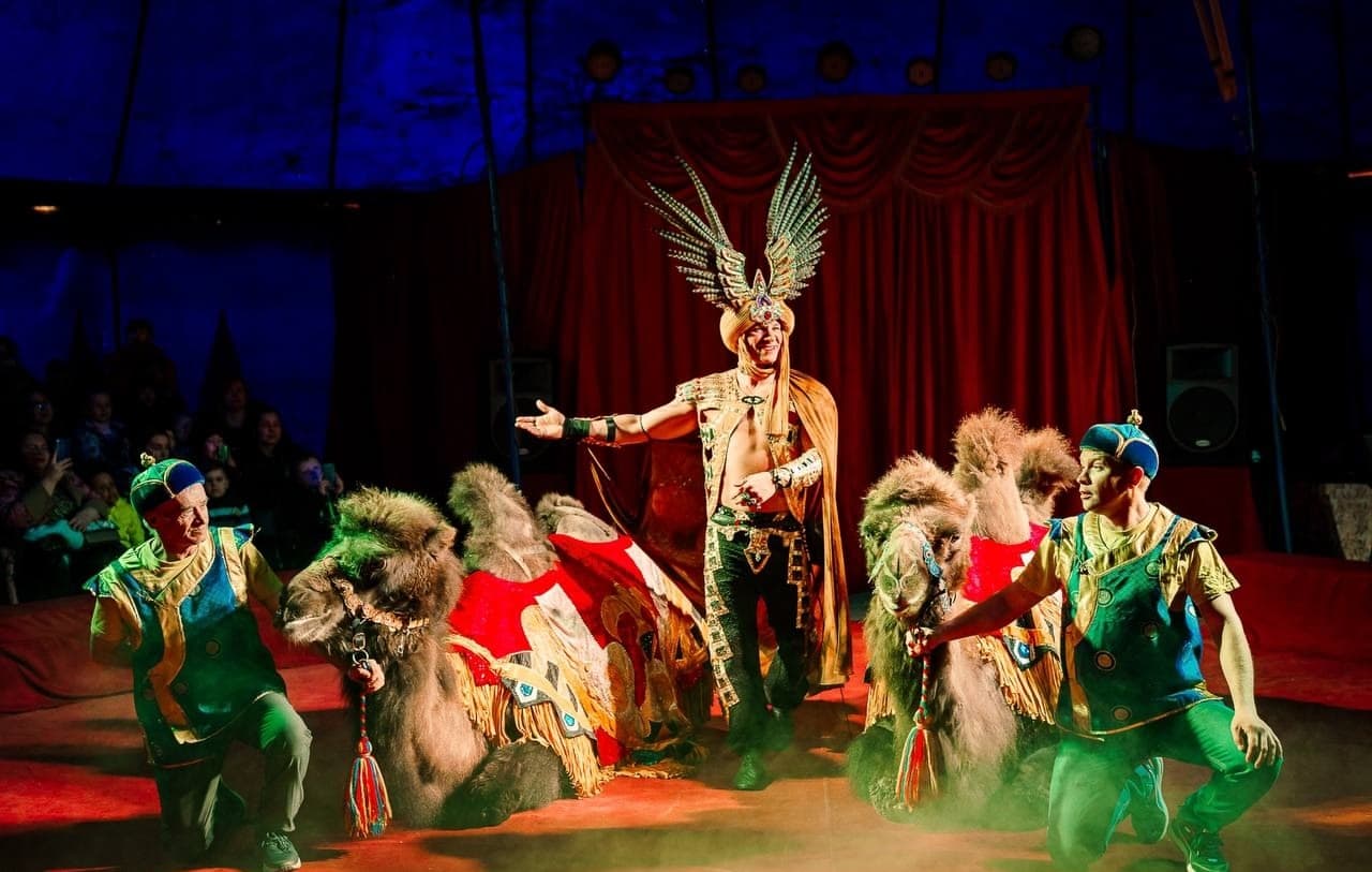 Цирк «Феникс» (Цирк-шапито «Феникс» (Жуковский))