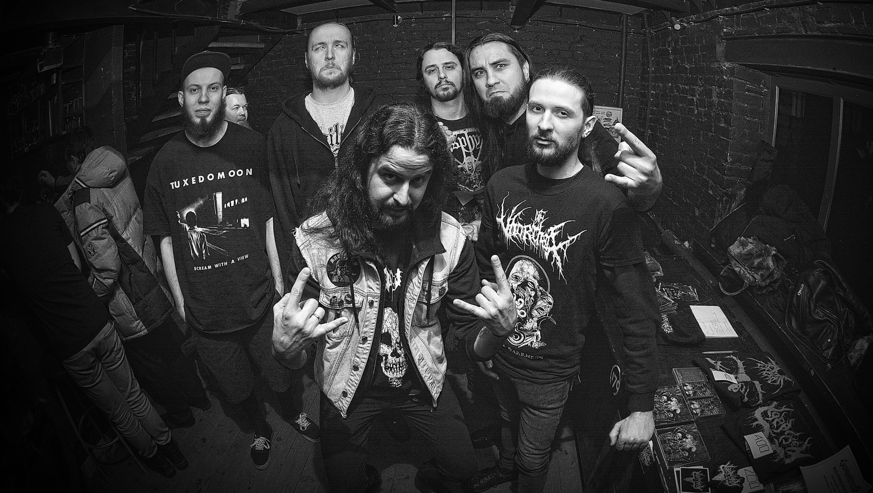 Esthet Metal Fest II (Ласточка)