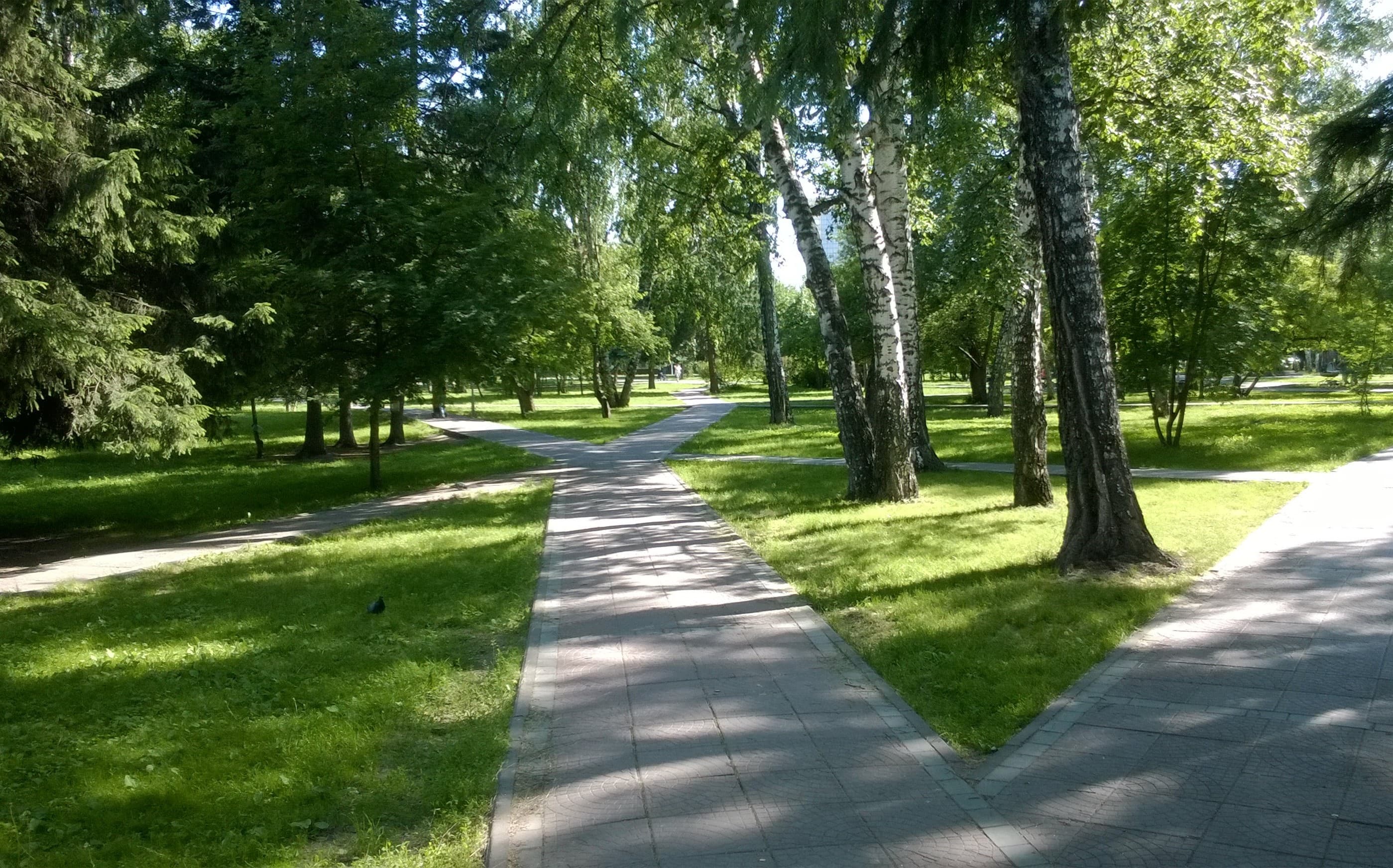 Нарымский оазис (Нарымский сквер)