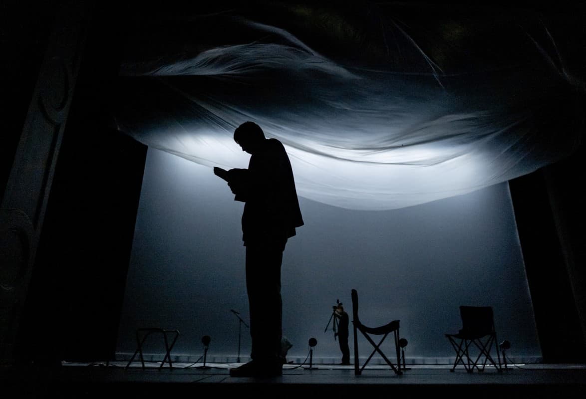 Чайка (Драматический театр)