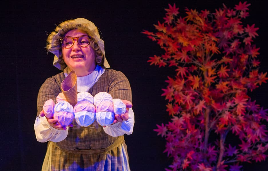 Бабушкины сказки (Театр для детей и молодёжи «Малый»)