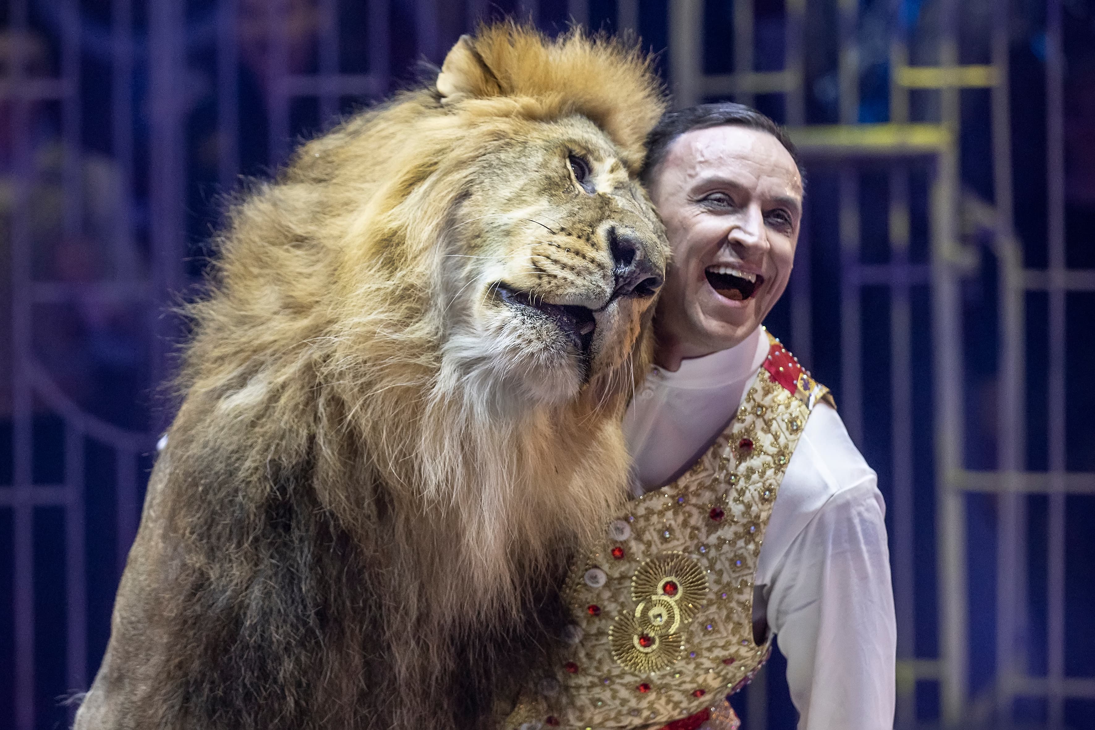 Принц цирка (Цирк)