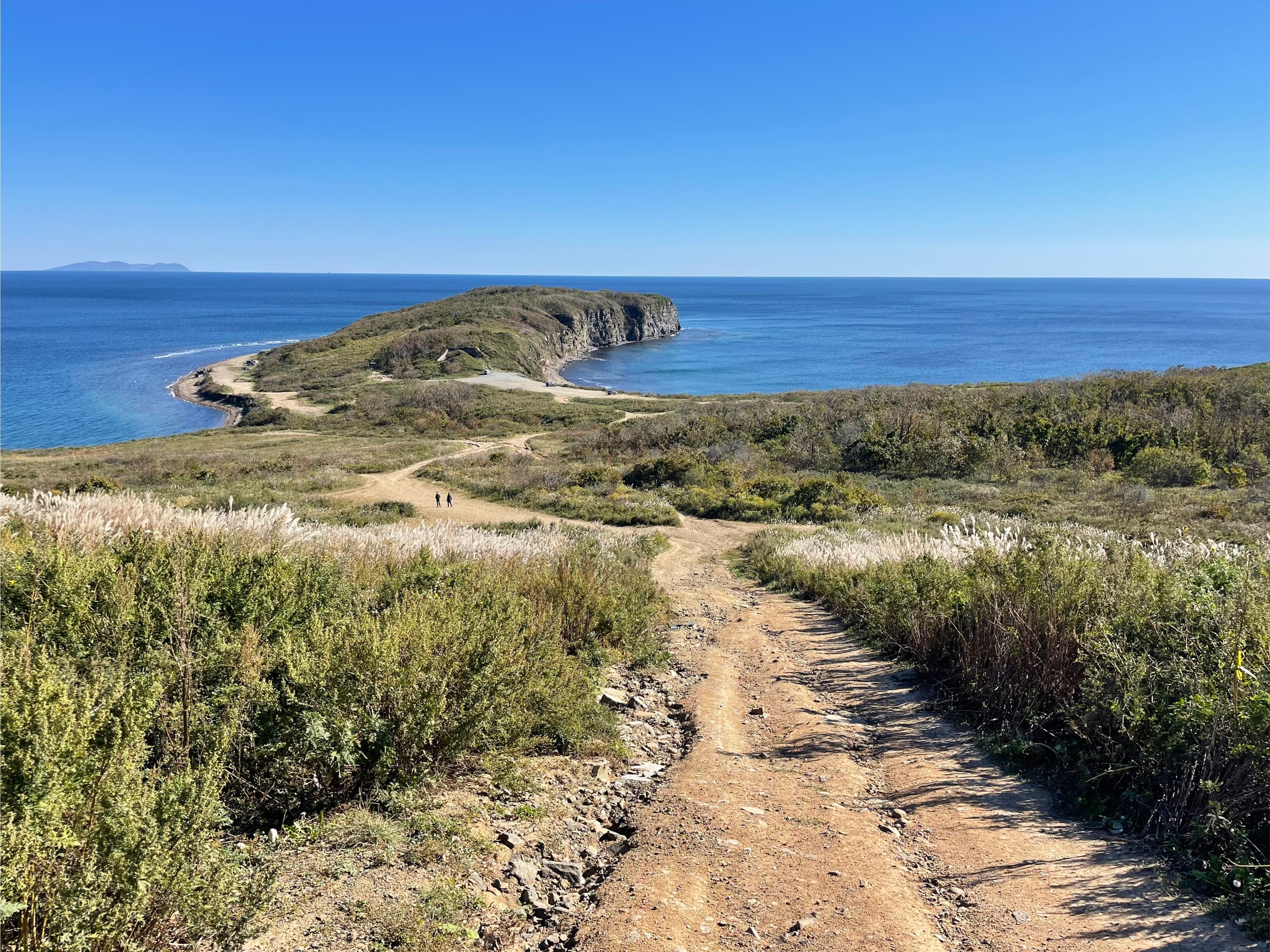 Тайны острова Русский за 5 часов (Тайны острова Русский)