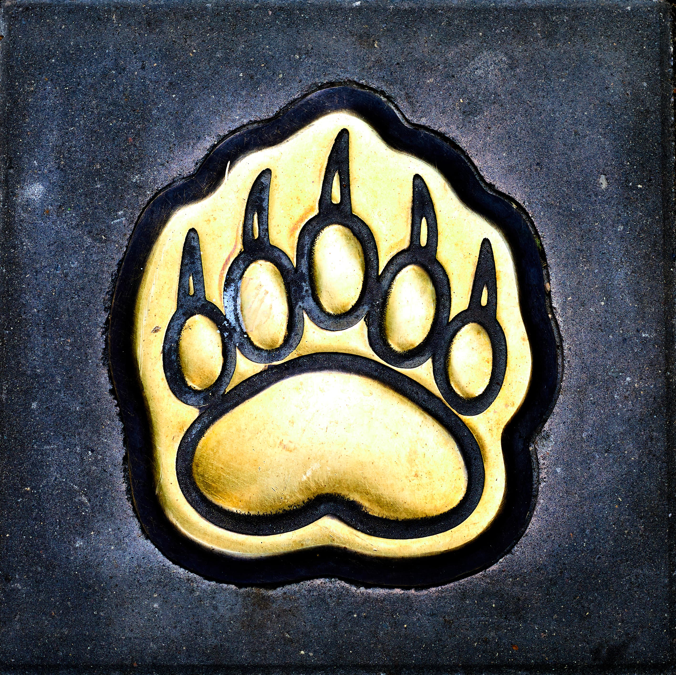 1000-рублёвый Ярославль и его старинные слободы (авто-пешеходная экскурсия 1000-рублёвый ярославль и его старинные слободы)