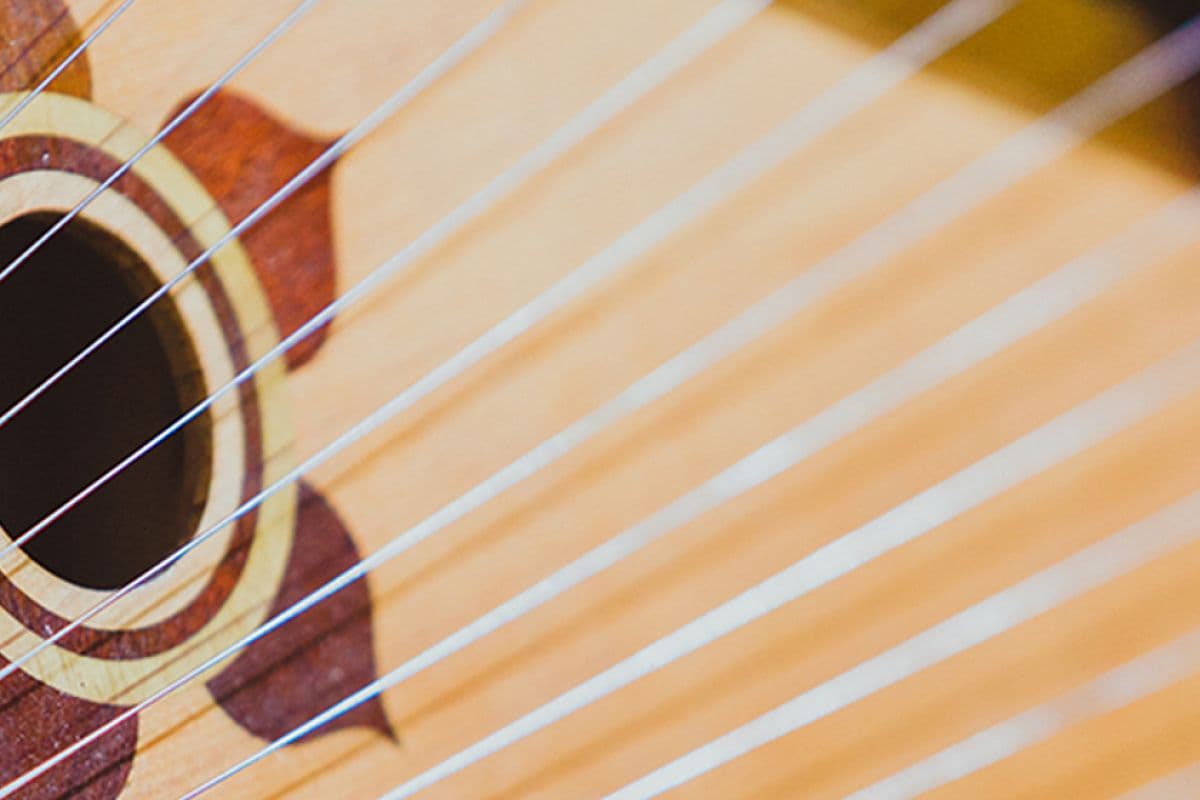 Органный мир фэнтези: Гарри Поттер, Хроники Нарнии, Властелин колец, Игра престолов (Кафедральный собор Святых Петра и Павла)