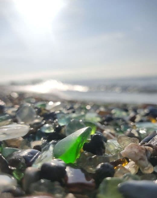 Приморский сафари-парк и бухты Шамора и Стеклянная (Три в одном: тур в сафари-парк и бухты Шамора и Стеклянная)