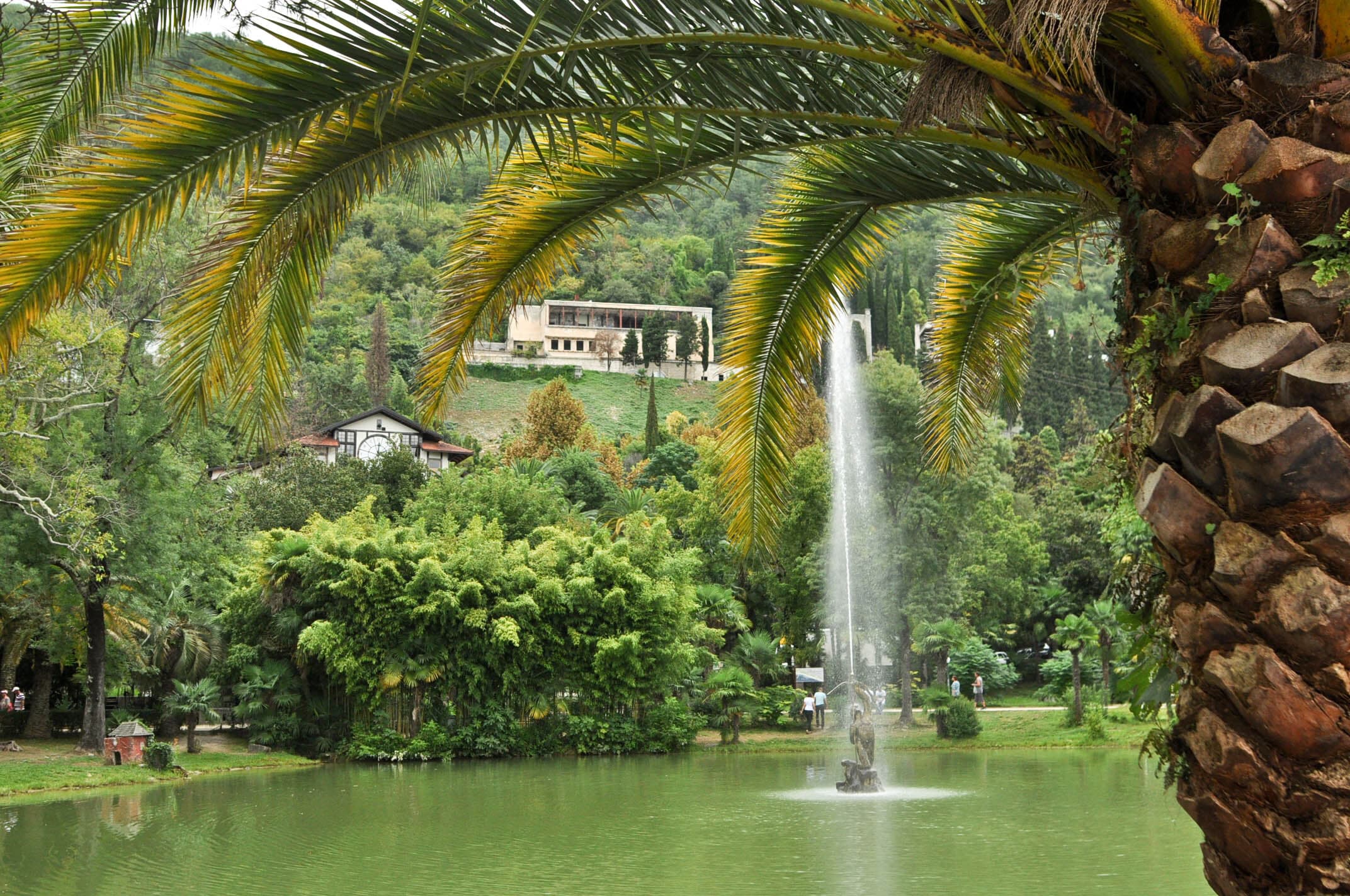 В Абхазию на минивэне (из Адлера, Сочи и Сириуса) (В Абхазию на минивэне Toyota, Volkswagen: Гагра, Мандариновый сад и Рица)