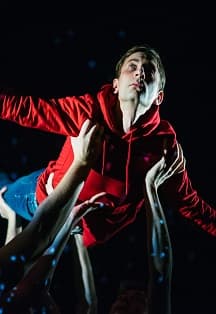 Загадочное ночное убийство собаки