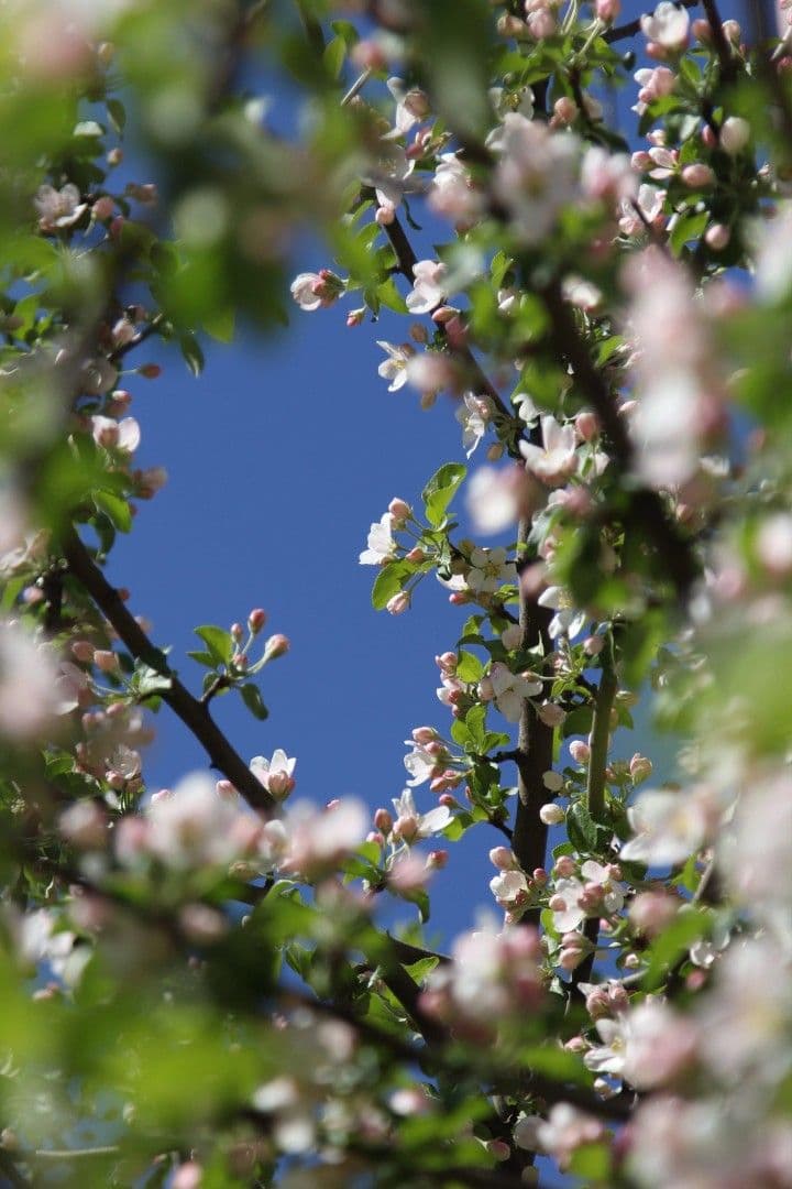 Мир! Труд! Май!