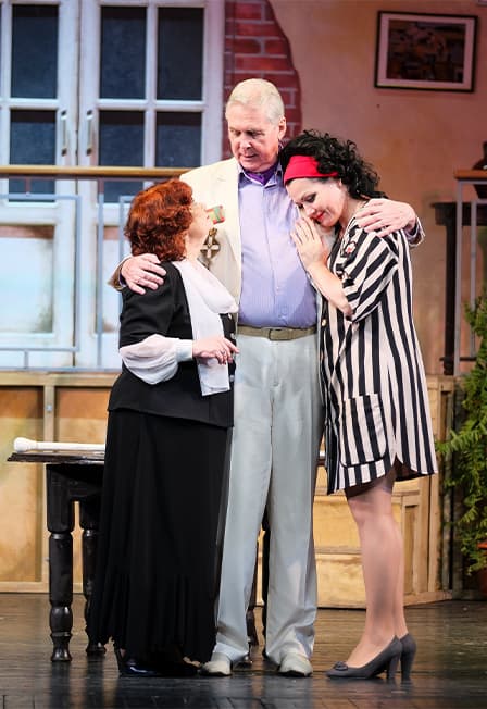 Моя профессия синьор из общества