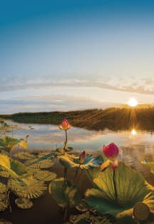 Лето. Классика. Закрытие 88 концертного сезона