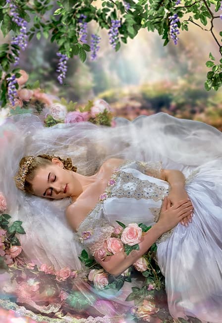 Спящая красавица