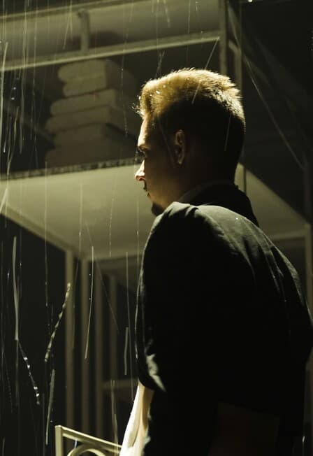 Пять жар-птиц инспектора Раффинга