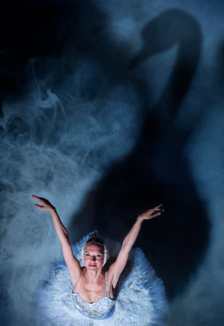 Балет "Лебединое озеро"