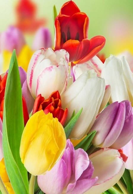 Концерт «Настроение - Весна!»