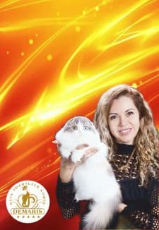 Большой чемпионат кошек и выставка рептилий